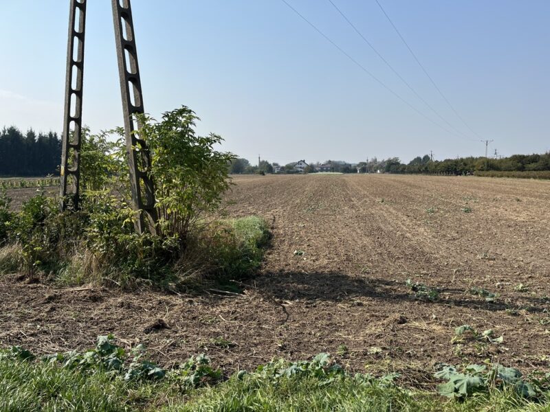 Działka rolno-budowlana 0,62 ha w Gołębiu k/Puław. - PUŁAWY, LUBELSKIE na SPRZEDAŻ