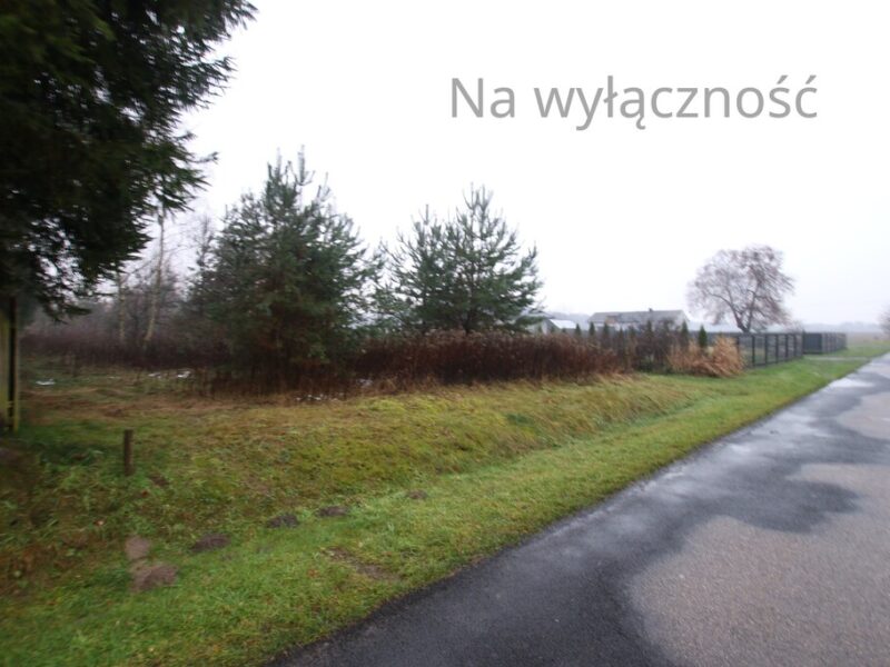 Działka rolno-budowlana 1,52 ha Dąbrowa gm. Ludwin