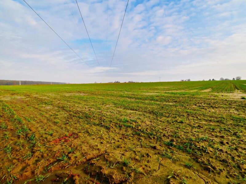 Działka rolno-budowlana - doskonała inwestycja! - KONOPNICA, LUBELSKIE na SPRZEDAŻ