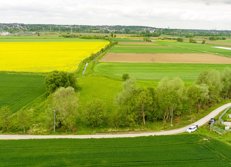Działka siedliskowa- Nowodworze- Tarnów-Małopolska