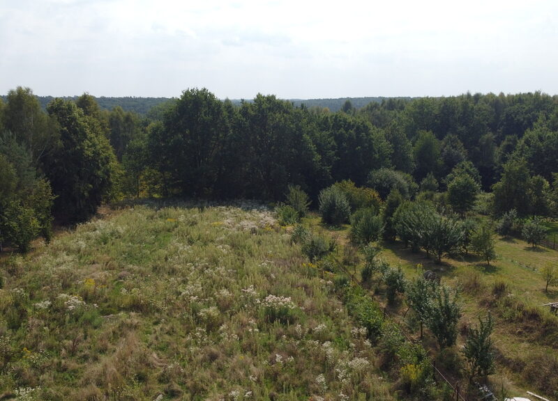 Działka z MPZP 0,54 ha w Bronowicach gm. Puławy.. - PUŁAWY, LUBELSKIE na SPRZEDAŻ