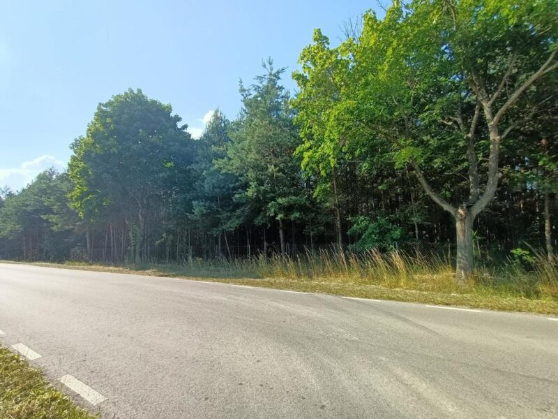 Działki budowlane w malowniczej części Przyłęka. - PRZYŁĘK, MAZOWIECKIE na SPRZEDAŻ