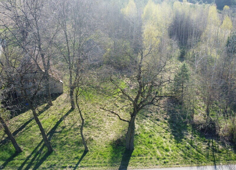 Dziełka rolna w Borowcu gm. Ciepielów pow. lipski.