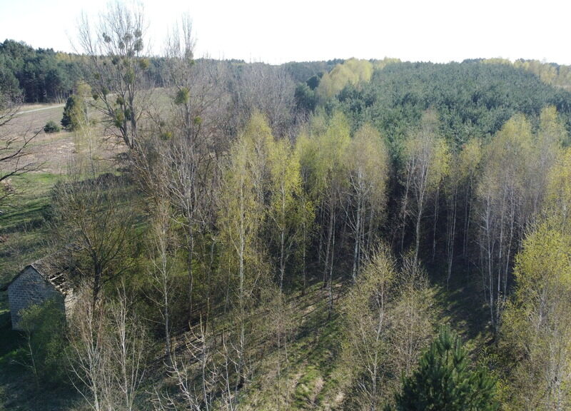 Dziełka rolna w Borowcu gm. Ciepielów pow. lipski.