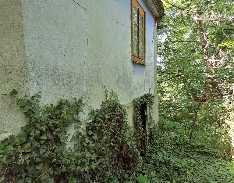 Gm. Rybczewice - Częstoborowice -siedlisko - 20ar