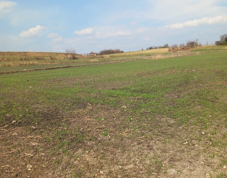 Jakubowice Murowane, gm. Wólka-działka 6600m2 - WÓLKA, LUBELSKIE na SPRZEDAŻ