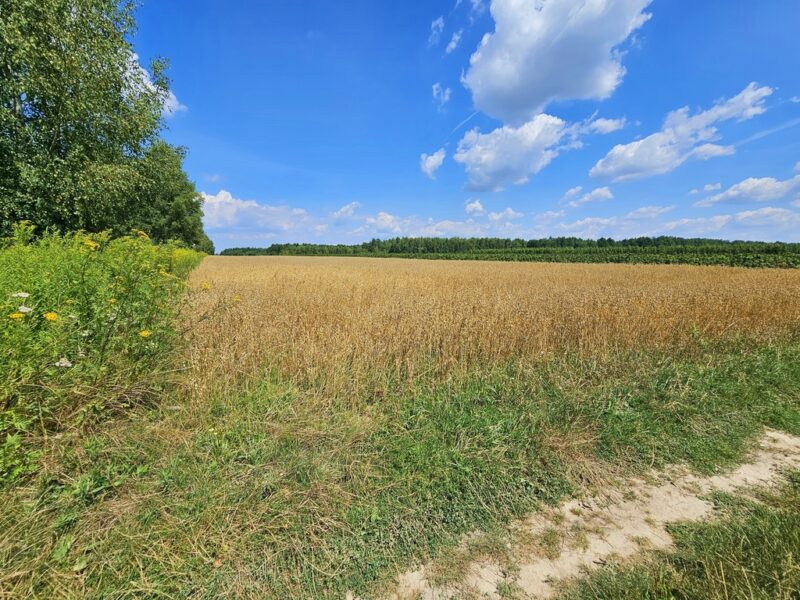 Karczmiska Drugie - ponad 33ar działki rolnej