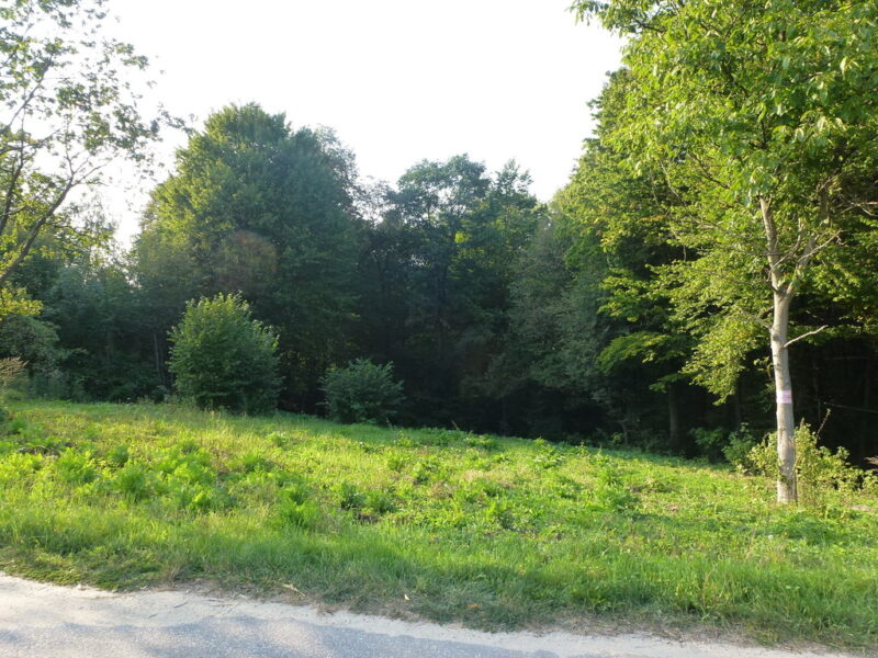 Kazimierz Dln-działka budowlana  2km od Rynku - ogłoszenia