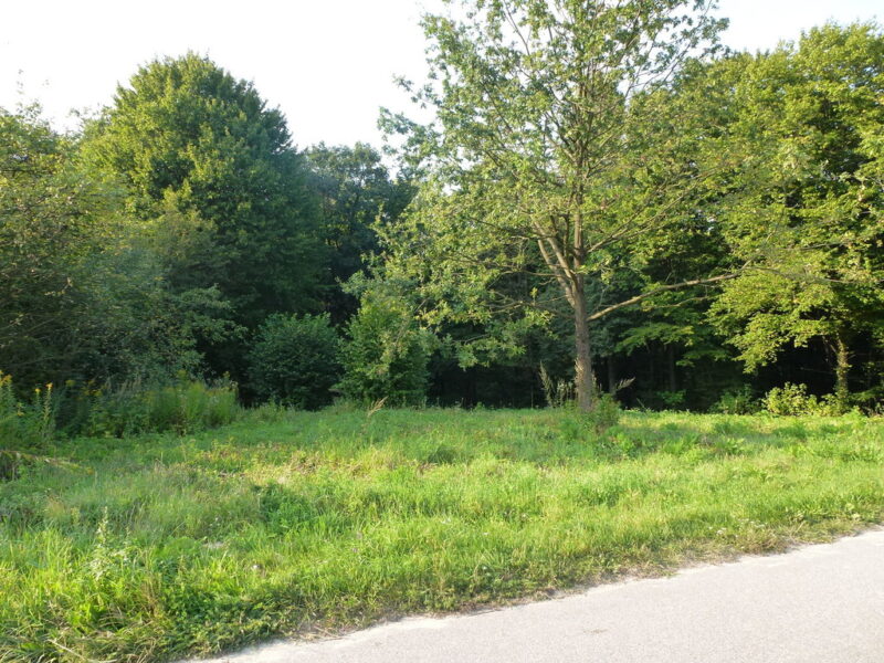 Kazimierz Dln-działka budowlana  2km od Rynku na SPRZEDAŻ Kazimierz Dolny$$