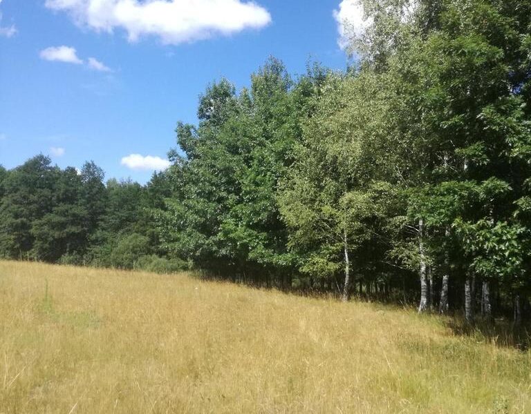 Kolonia Garbatówka, działka rolna, 3,18 ha!!