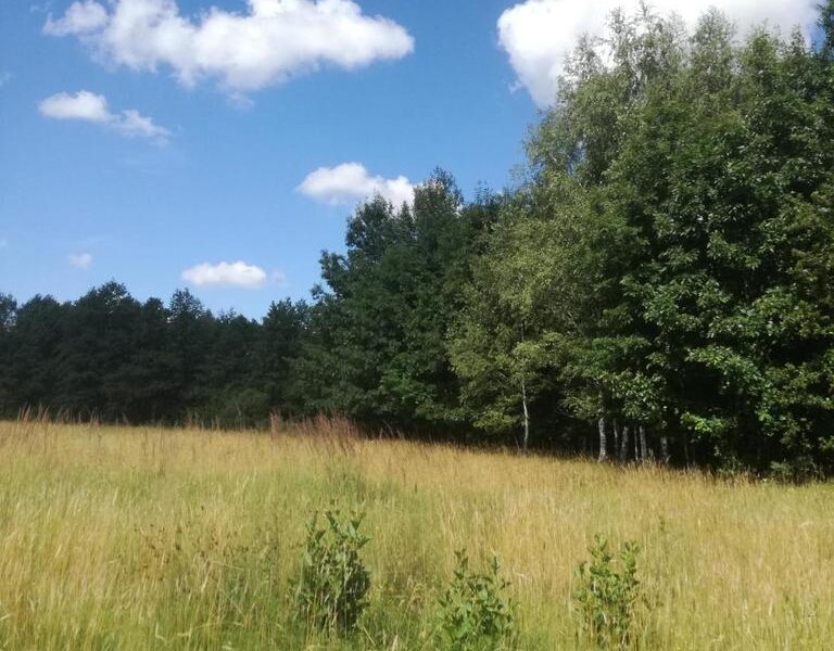 Kolonia Garbatówka, działka rolna, 3,18 ha!! - CYCÓW, LUBELSKIE na SPRZEDAŻ