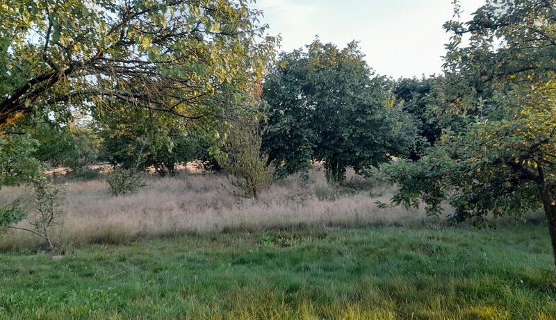 Wilczopole. Piękna, uzbrojona  malownicza działka pod lasem z murowanym domkiem.~Idealna dla osób ceniących bliskość natury jak i  dostęp do  pełnej infrastrukt- LUBLIN, LUBELSKIE na SPRZEDAŻ