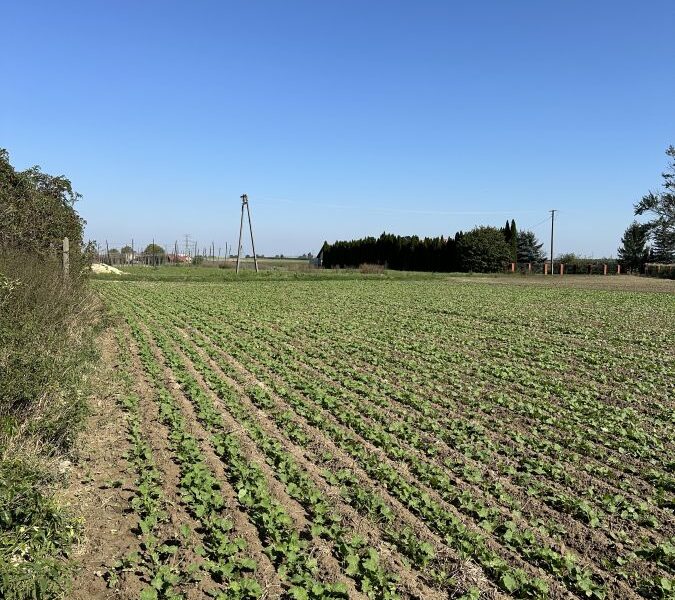 DZIAŁKA  na SPRZEDAŻ Ludwików