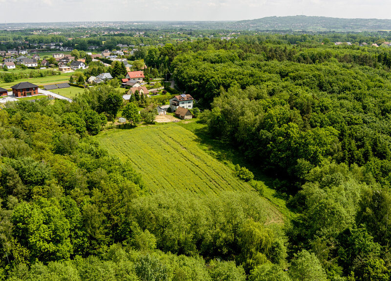 - TARNÓW, MAŁOPOLSKIE na SPRZEDAŻ