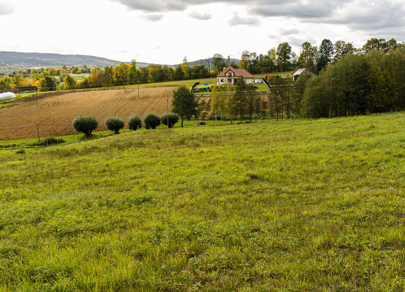 - CZCHÓW, MAŁOPOLSKIE na SPRZEDAŻ
