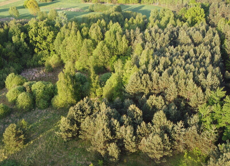 Nietypowa działka 2 ha w Kawęczynie gm. Ciepielów