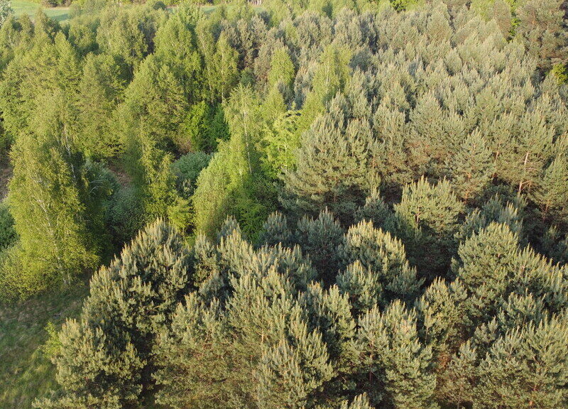 Nietypowa działka 2 ha w Kawęczynie gm. Ciepielów - NOWY KAWĘCZYN, MAZOWIECKIE na SPRZEDAŻ