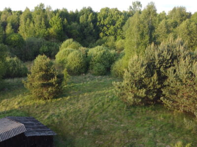 Nietypowa działka 2 ha w Kawęczynie gm. Ciepielów
