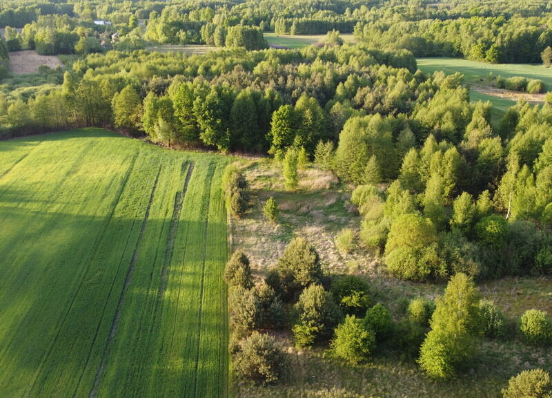 Nietypowa działka 2 ha w Kawęczynie gm. Ciepielów