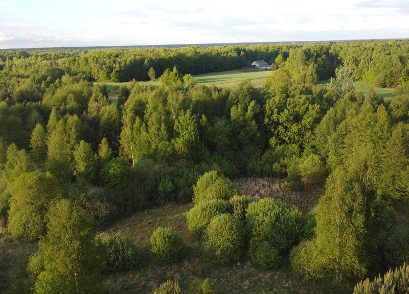 DZIAŁKA na SPRZEDAŻ, NOWY KAWĘCZYN, CIEPIELÓW