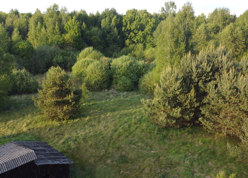 Nietypowa działka 2 ha w Kawęczynie gm. Ciepielów - CIEPIELÓW, MAZOWIECKIE na SPRZEDAŻ