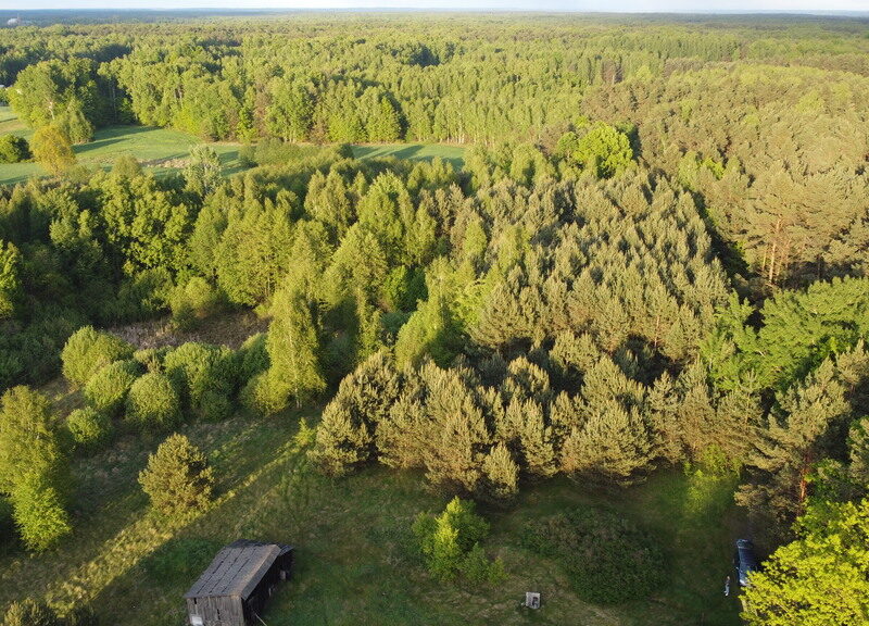 Nietypowa działka 2 ha w Kawęczynie gm. Ciepielów