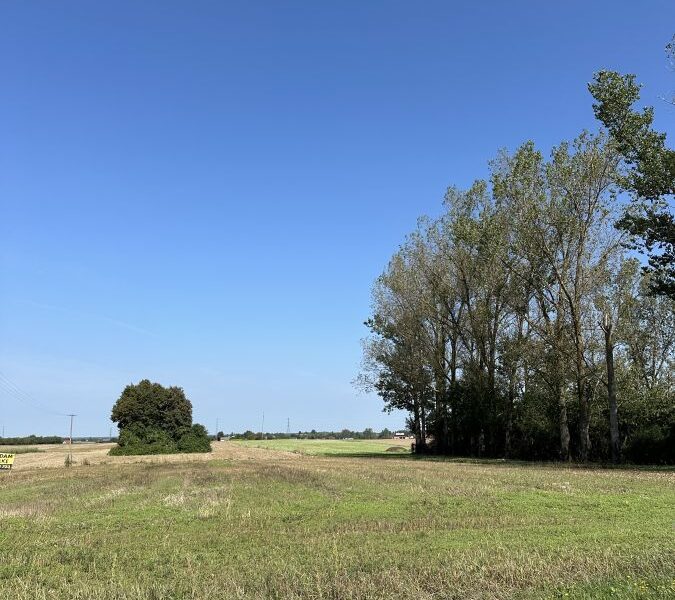 DZIAŁKA  na SPRZEDAŻ Nowogród