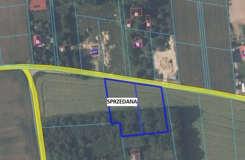 Ostatnia działka ze starodrzewem - Płouszowice