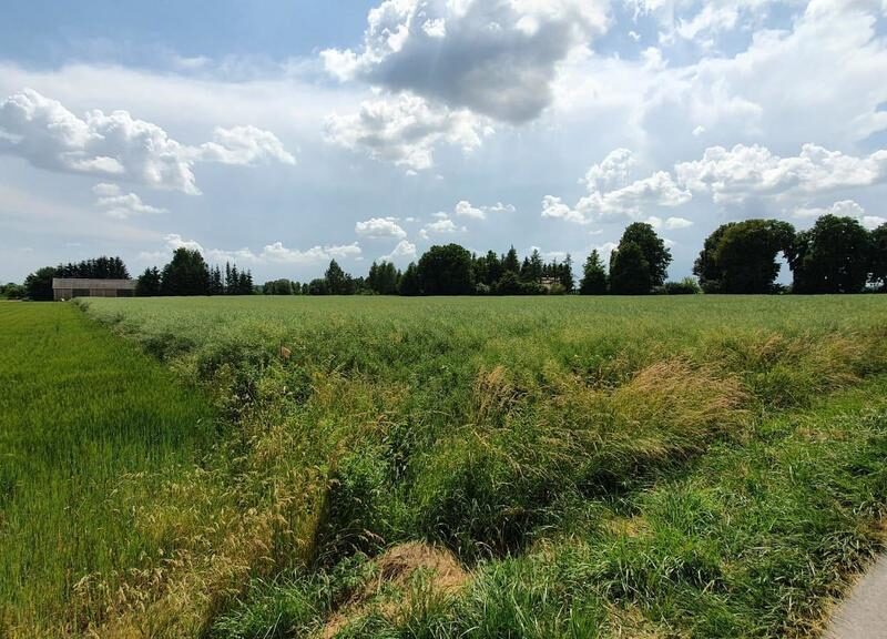 Piękna, duża działka w spokojnej okolicy - Pólko
