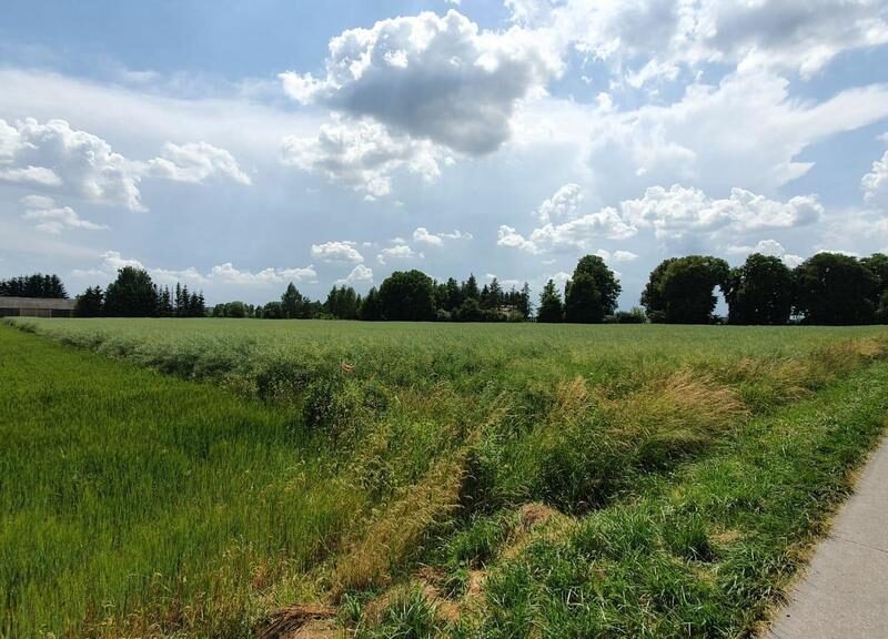 Piękna, duża działka w spokojnej okolicy - Pólko