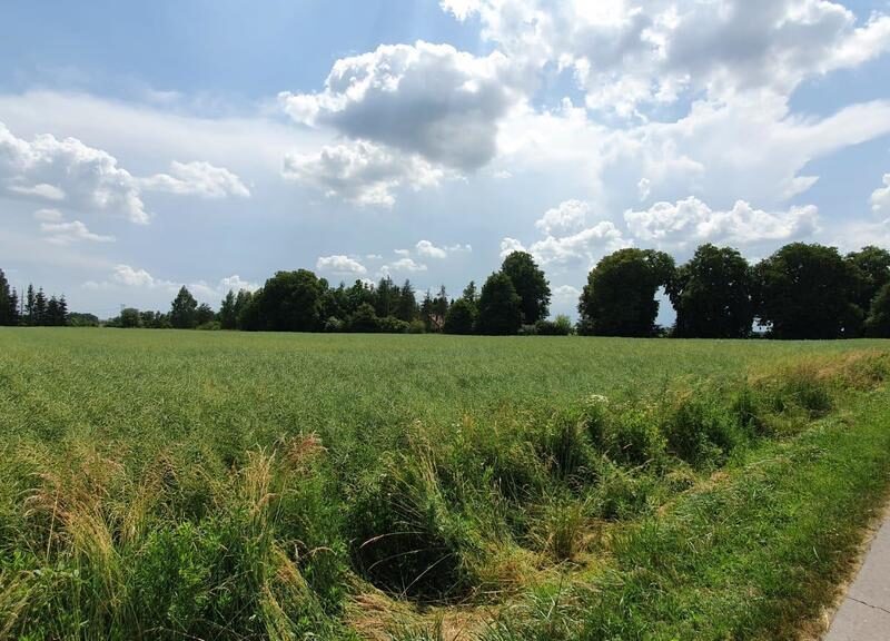 Piękna, duża działka w spokojnej okolicy - Pólko - NIEMCE, LUBELSKIE na SPRZEDAŻ