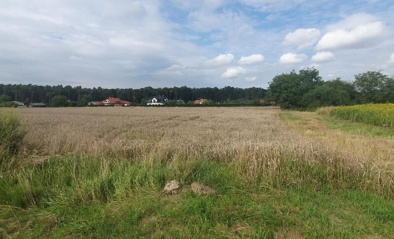 Piękna działka budowlana blisko lasu- 17ar-Świdnik - ŚWIDNIK, LUBELSKIE na SPRZEDAŻ