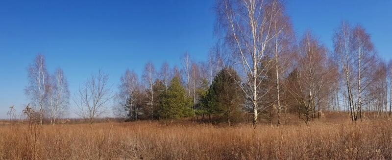 Piękna działka rekreacyjna 1,7 ha, położona na zaciszu, 10 minut od Kazimierza Dolnego.~~OPIS DZIAŁKI:~- Bardzo duża działka usytuowana w malowniczej okolicy Ka- KARCZMISKA, LUBELSKIE na SPRZEDAŻ