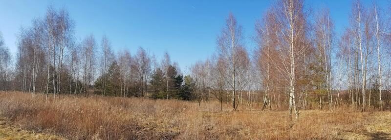 Piękna działka rekreacyjna na zaciszu - Karczmiska