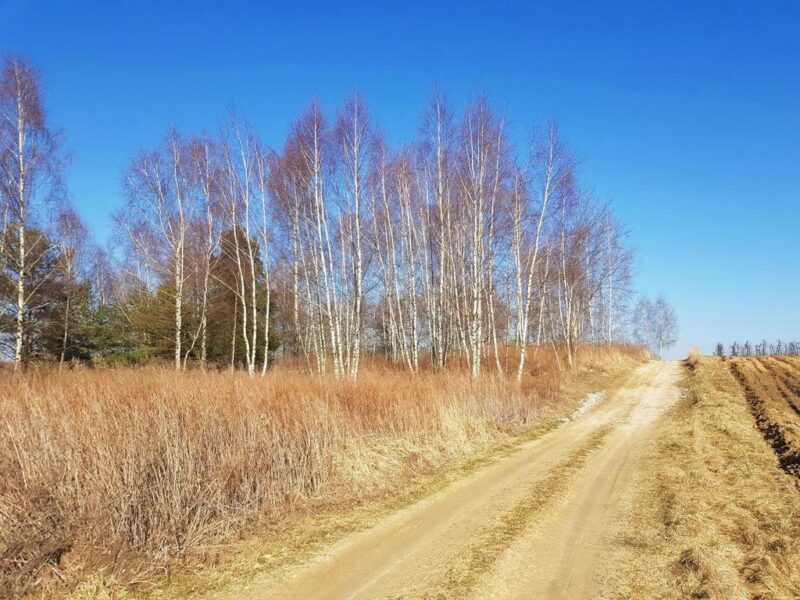Piękna działka rekreacyjna na zaciszu - Karczmiska - KARCZMISKA PIERWSZE, LUBELSKIE na SPRZEDAŻ