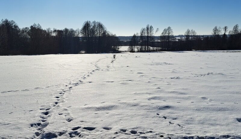 Piękna działka rolno-budowlana, Żminne, Parczew.