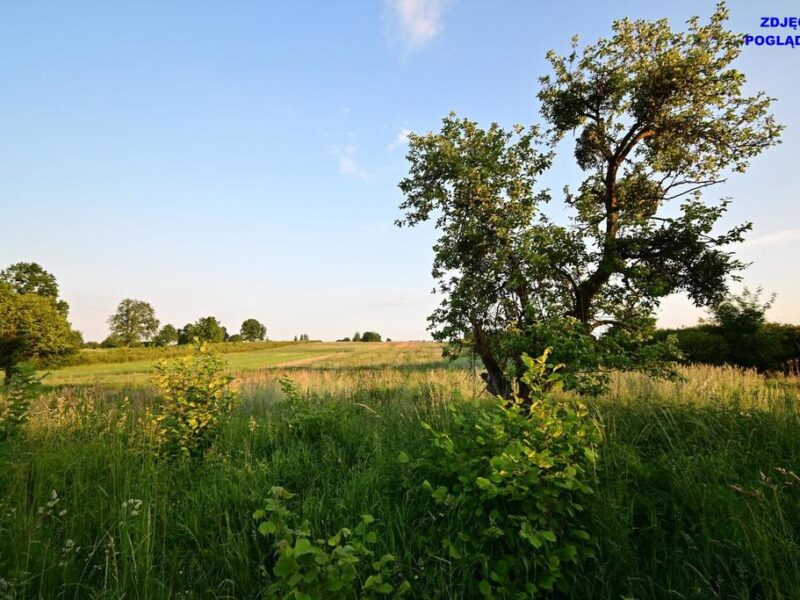 Piotrowice - działka budowlana 20 arów w doskonałej cenie! ~~Właściwości:~Wymiary: 25 m x 75 m~Działa płaska, przy drodze asfaltowej~~Lokalizacja:~- Piotrowice,- NAŁĘCZÓW, LUBELSKIE na SPRZEDAŻ