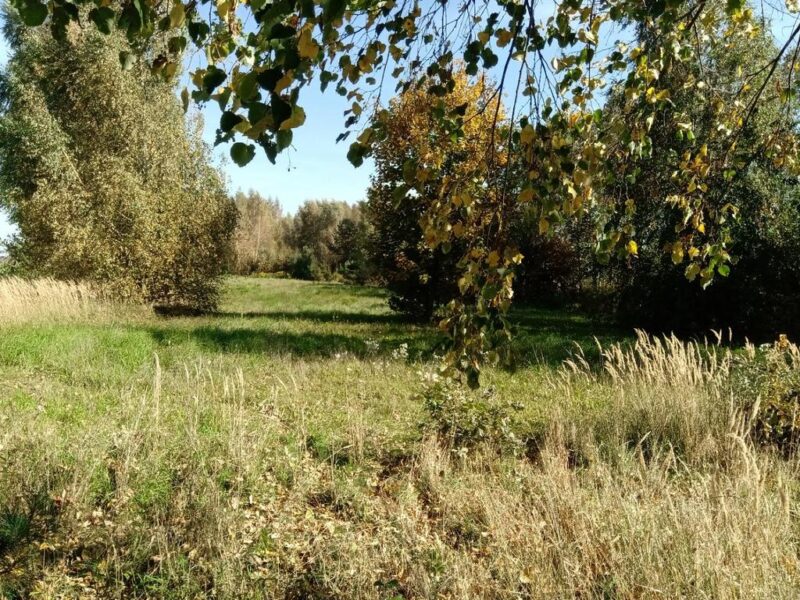 Piotrowice - działka 20 arów w doskonałej cenie! - NAŁĘCZÓW, LUBELSKIE na SPRZEDAŻ