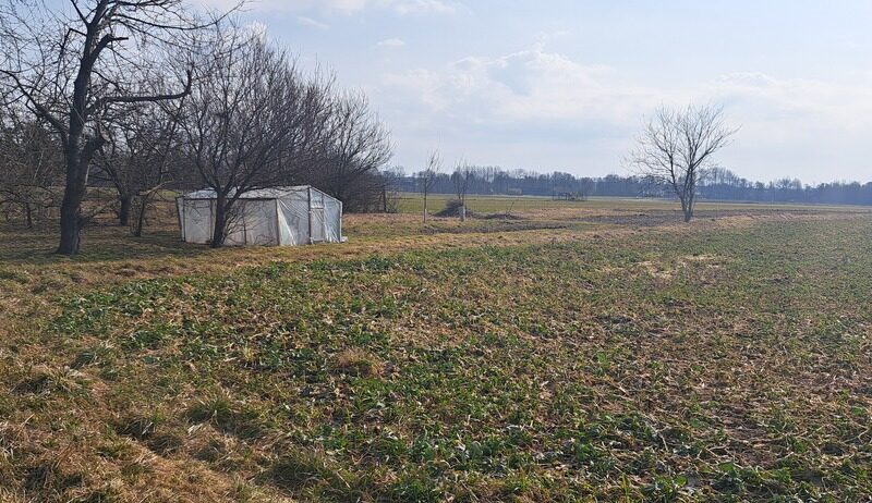 Działka o powierzchni 5172 m2~Prąd, woda w działce, gaz przy ulicy~Druga linia zabudowy~Działka w kształcie prostokąta, płaska,~Obecny właściciel posiada i ofer- KONOPNICA, LUBELSKIE na SPRZEDAŻ