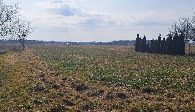 Radawiec Mały. Działka z projektem i pozwoleniem. - KONOPNICA, LUBELSKIE na SPRZEDAŻ