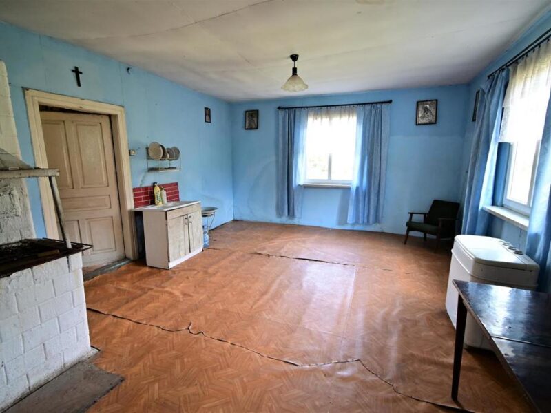 Radomirka - dom i budynki gosp. + ponad 1ha gruntu