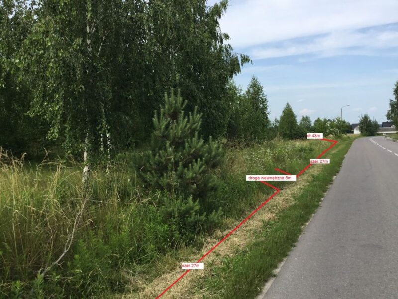 Rokitno - działki budowlane  z drzewostanem - ogłoszenia