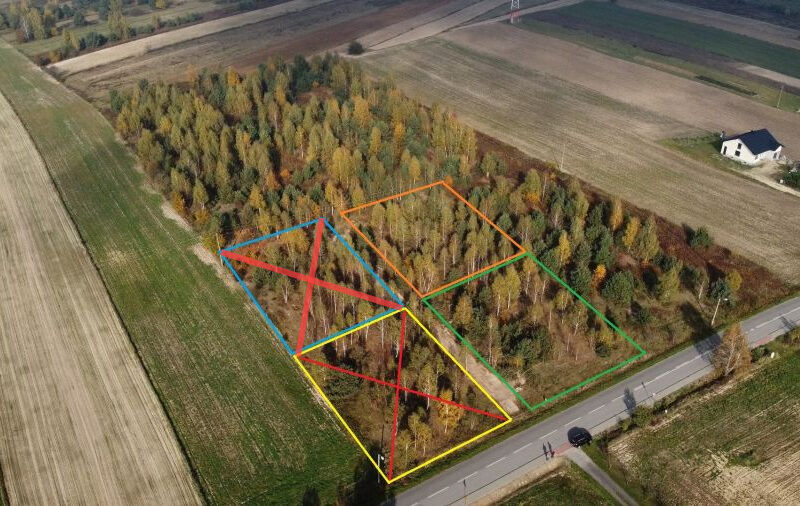 Rokitno - działki budowlane  z drzewostanem - Rokitno