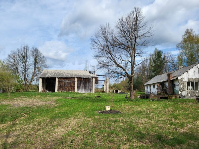 Siedlisko 2,89ha z plantacją malin – Dębiny