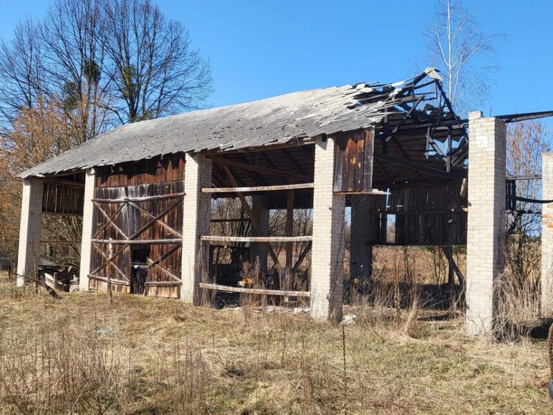 Siedlisko 2,89ha z plantacją malin – Dębiny