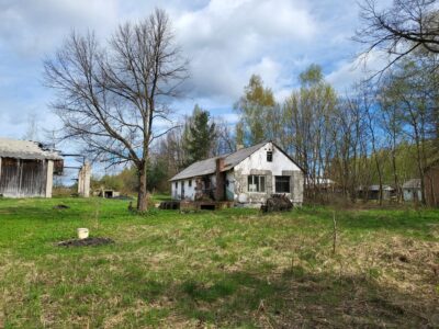 Siedlisko 2,89ha z plantacją malin – Dębiny