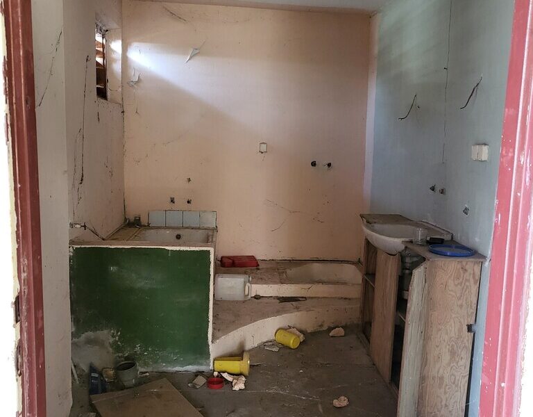 Siedlisko 2,89ha z plantacją malin – Dębiny