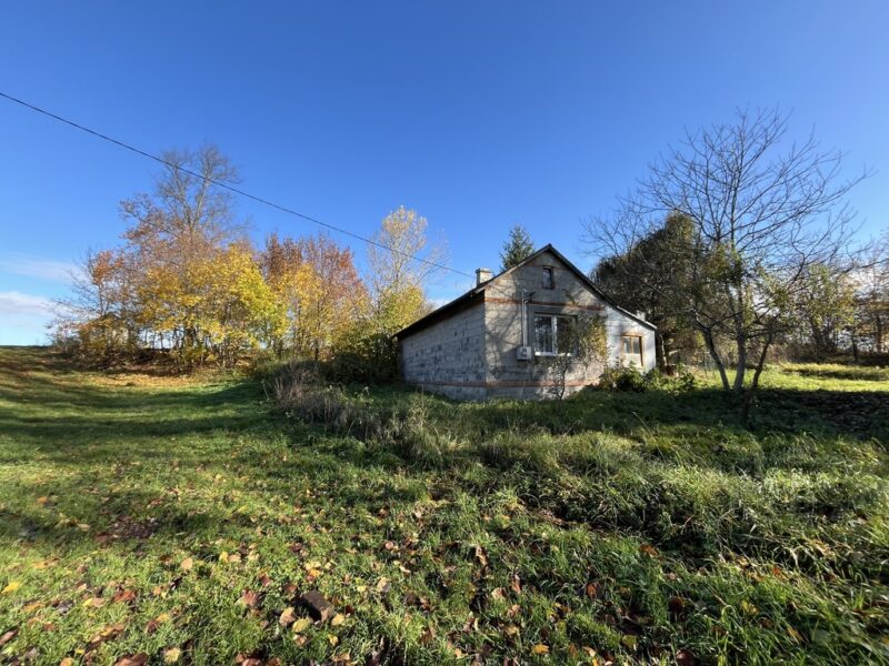 Siedlisko ( dom murowany 55 m2 plus  budynki gospodarcze )  na działce o pow. 0,36 ha (3623 m2) w cichej i spokojnej miejscowości Przyłęk gm. Przyłęk pow. zwole- PRZYŁĘK, MAZOWIECKIE na SPRZEDAŻ