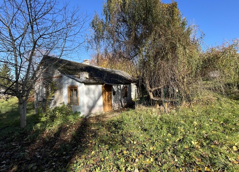 Siedlisko (działka 3623 m2) Przyłęk pow. Zwoleń. - PRZYŁĘK, MAZOWIECKIE na SPRZEDAŻ