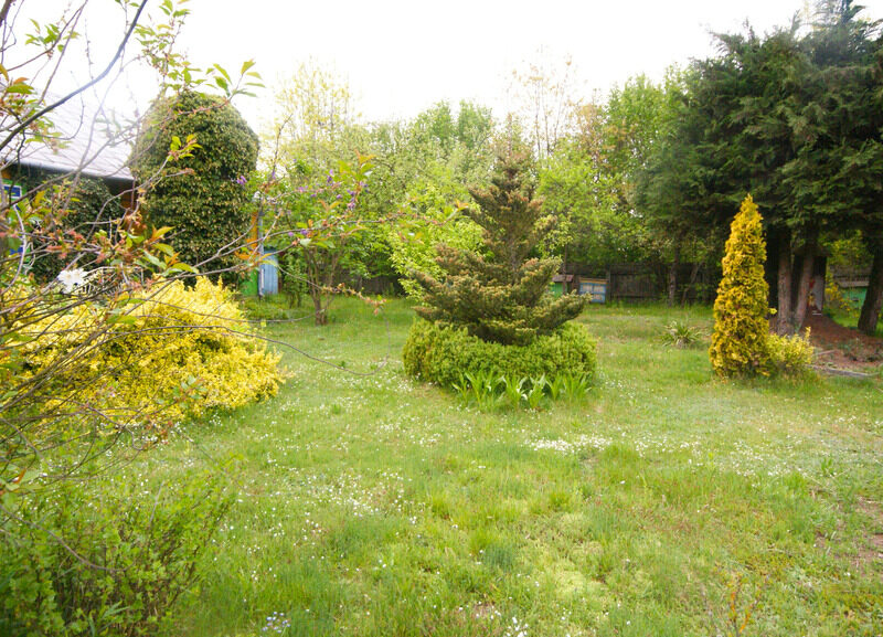 Siedlisko, inwestycja, 1.62ha